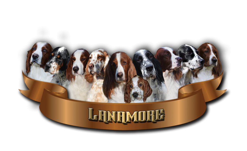 Lanamore