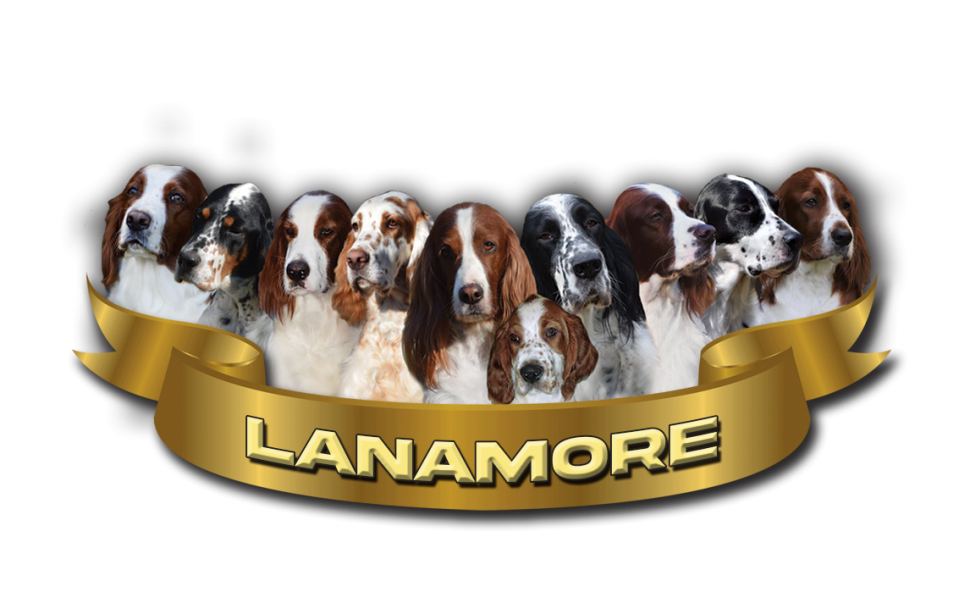 Lanamore