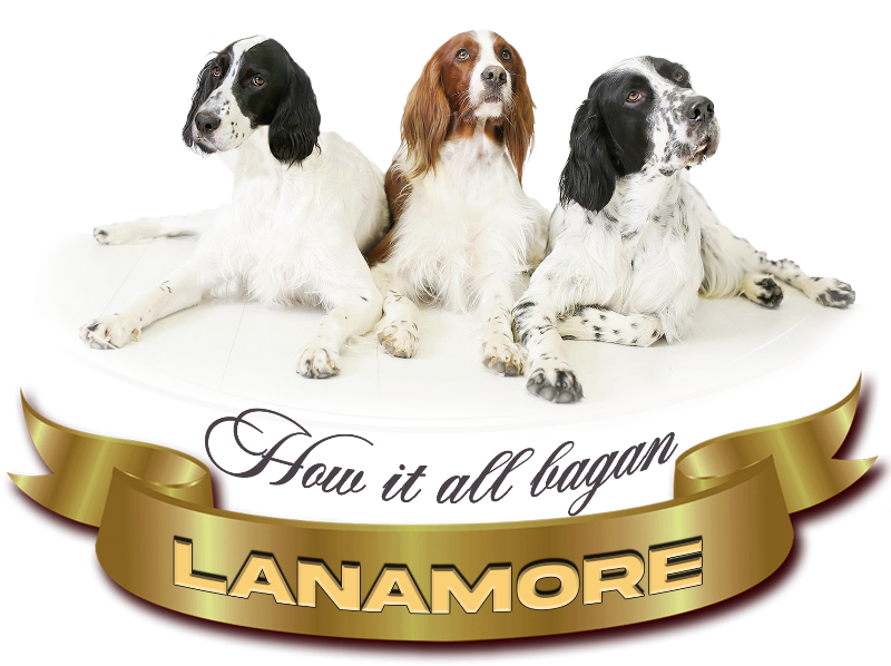 Lanamore