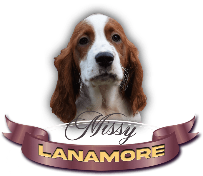 Lanamore