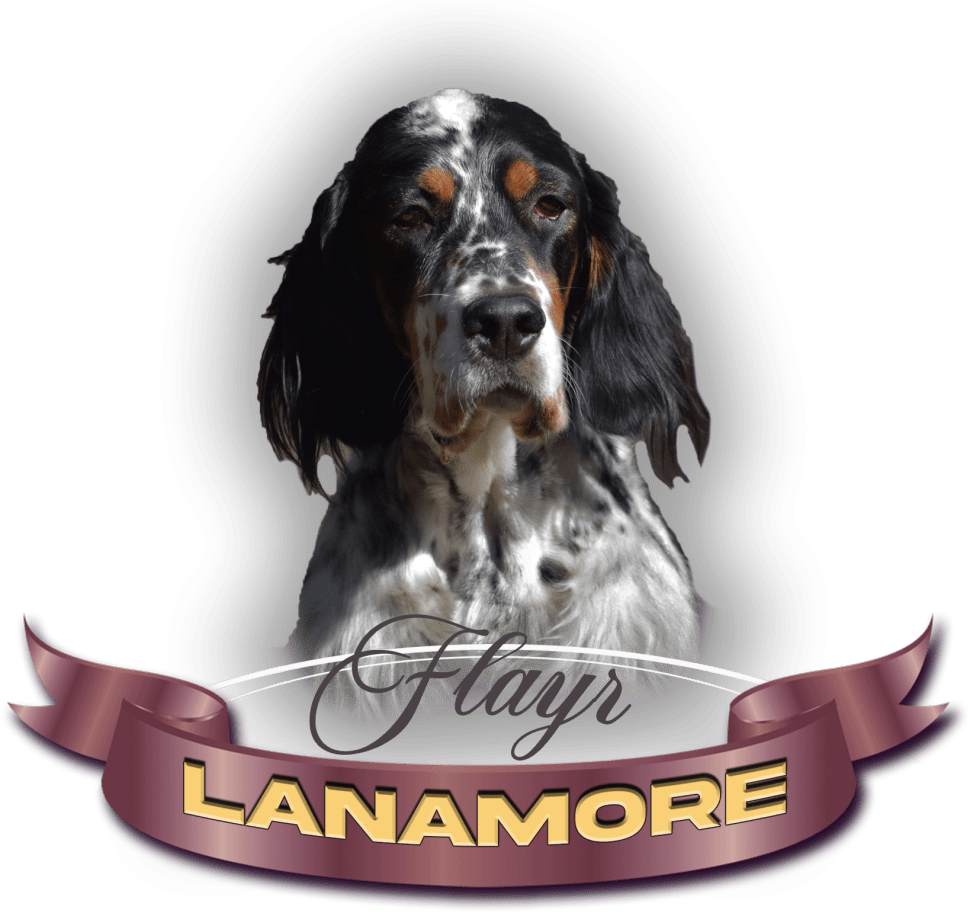 Lanamore