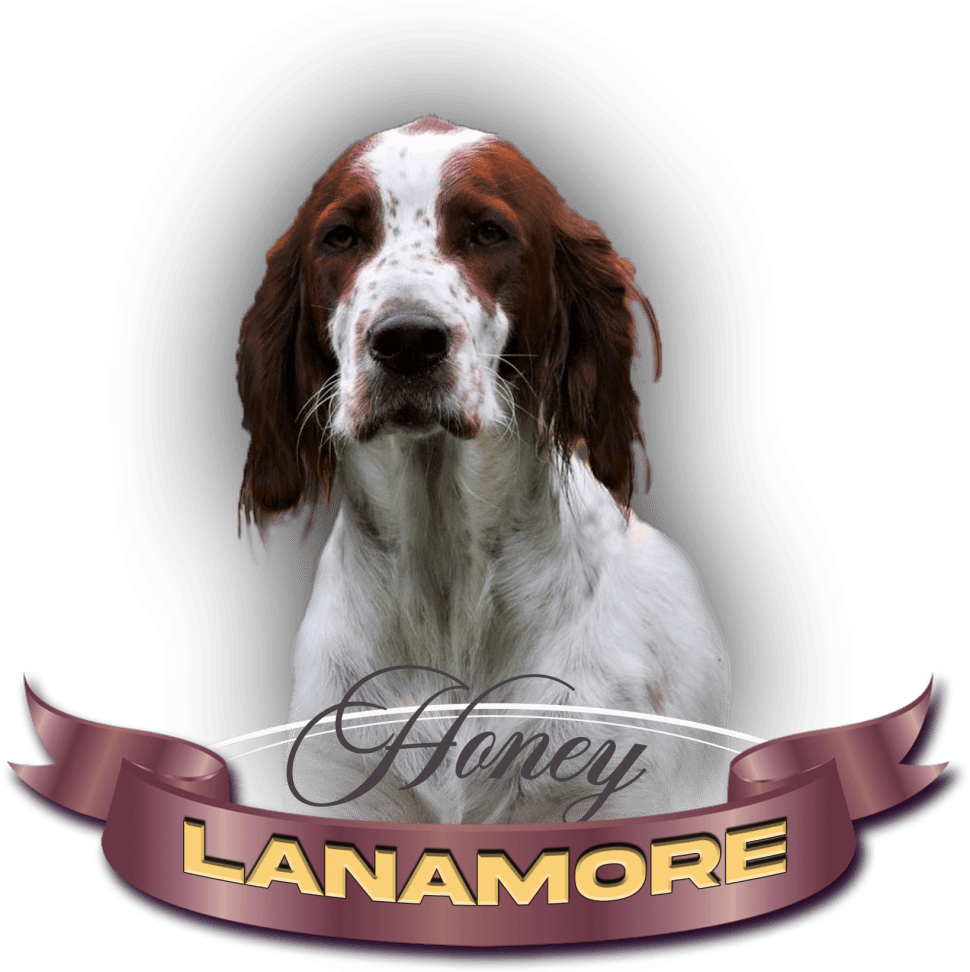 Lanamore