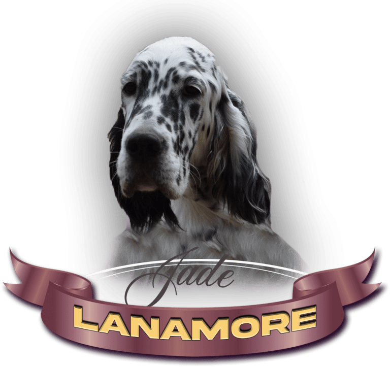 Lanamore