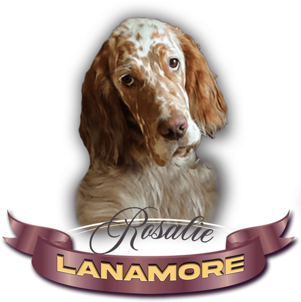 Lanamore