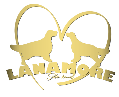 Lanamore