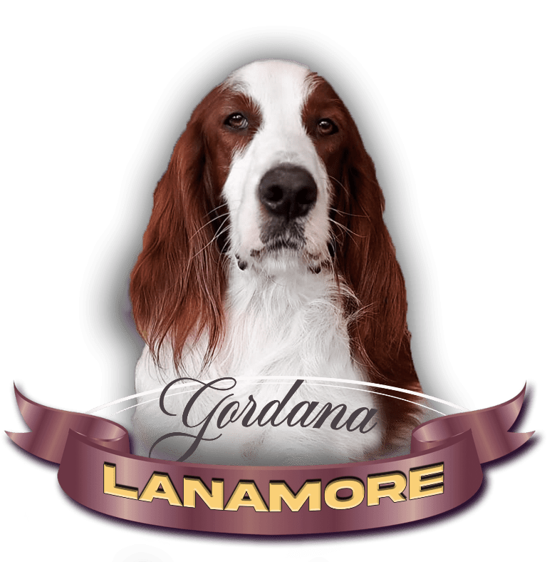 Lanamore