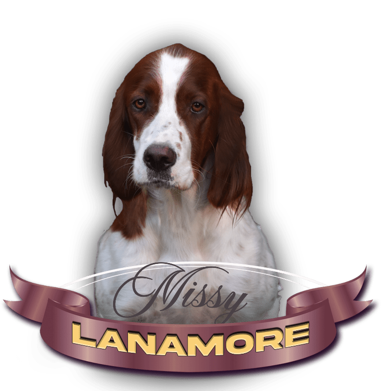 Lanamore