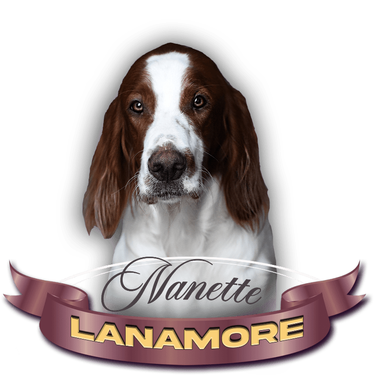 Lanamore