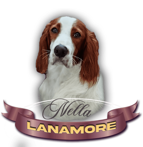 Lanamore