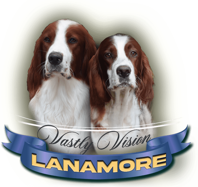 Lanamore
