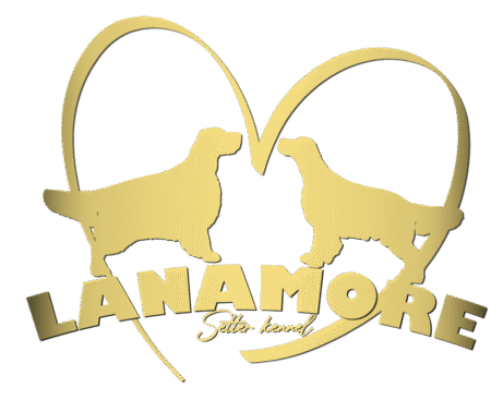 Lanamore