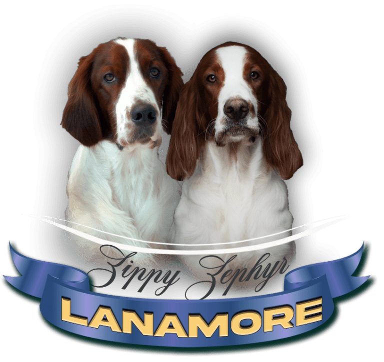 Lanamore