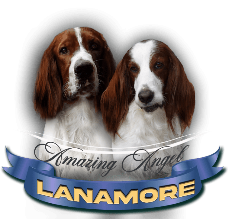 Lanamore