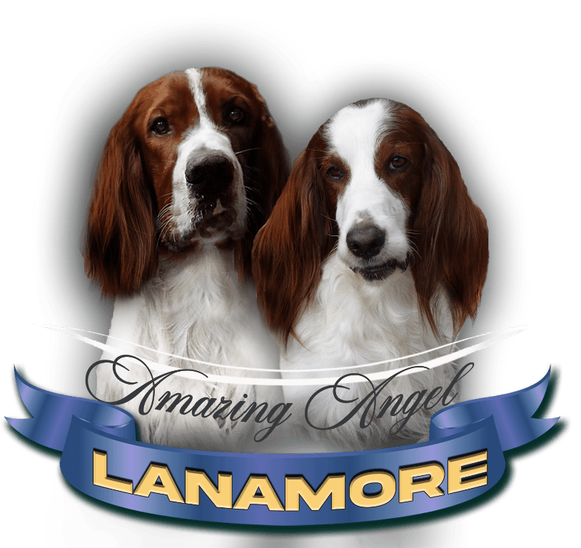 Lanamore