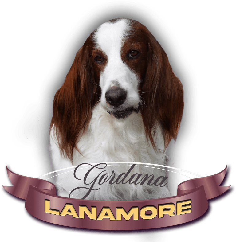 Lanamore