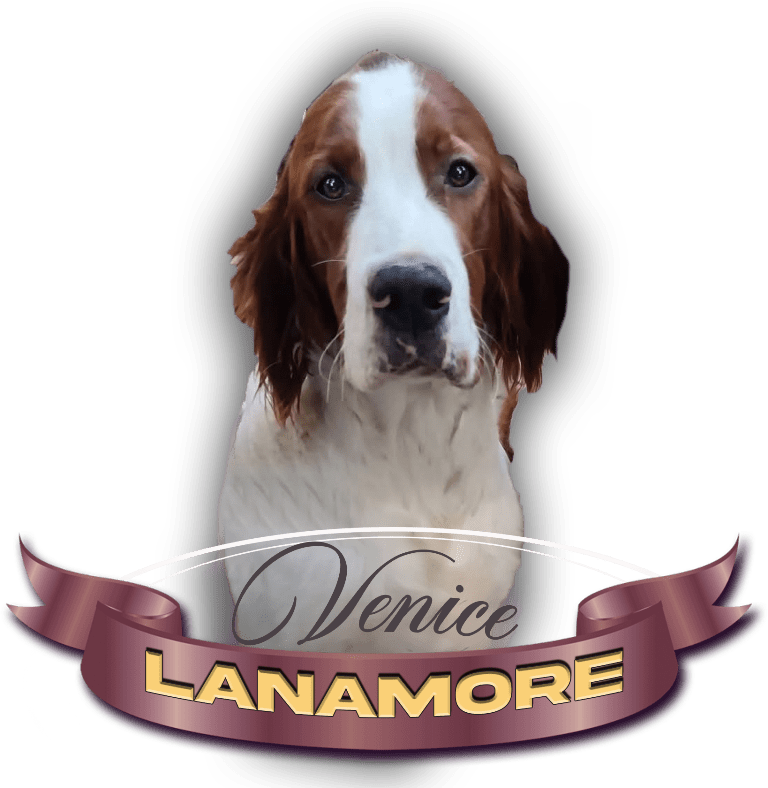 Lanamore