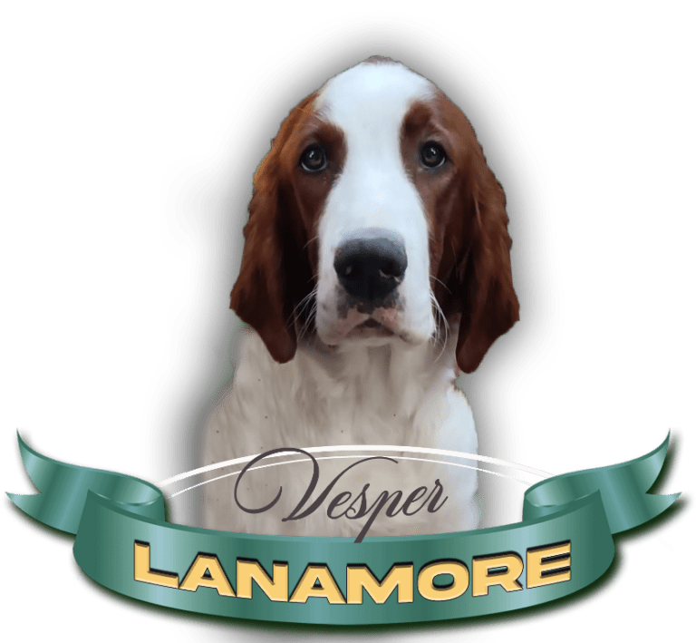 Lanamore