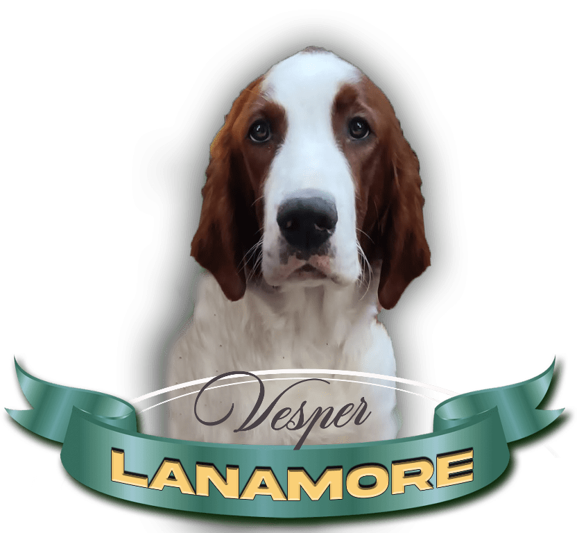 Lanamore