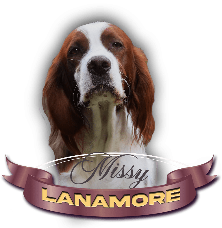 Lanamore
