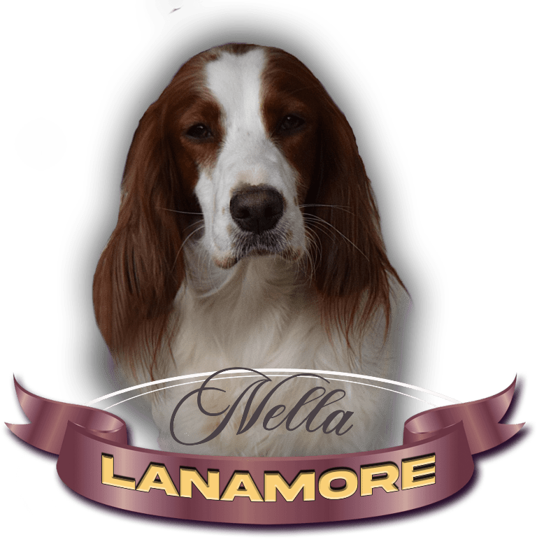 Lanamore